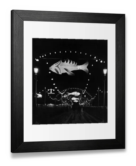 Framed Print : Illuminated Fish Framed Print : Illuminated Fish