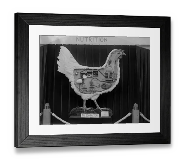 Framed Print : The Egg Factory Framed Print : The Egg Factory
