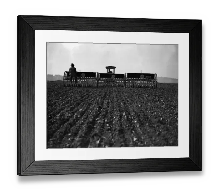 Framed Print : Sowing Corn Framed Print : Sowing Corn