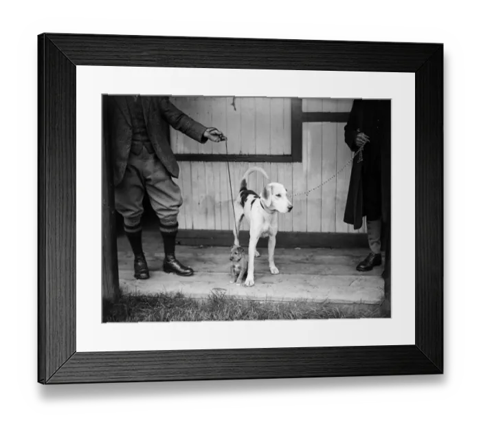 Framed Print : Big Dog Little Dog