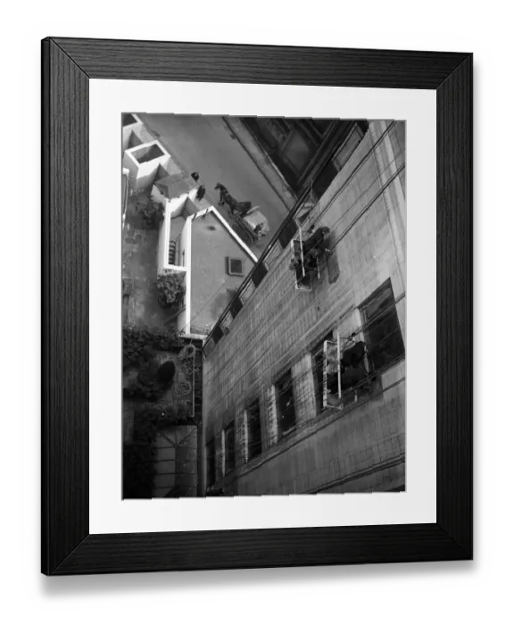 Framed Print : Dizzy Work Framed Print : Dizzy Work