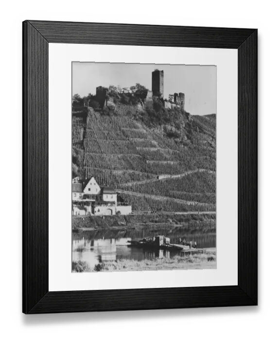 Framed Print : Beilstein. Metternich Castle and the vineyards at Beilstein Framed Print : Beilstein. Metternich Castle and the vineyards at Beilstein