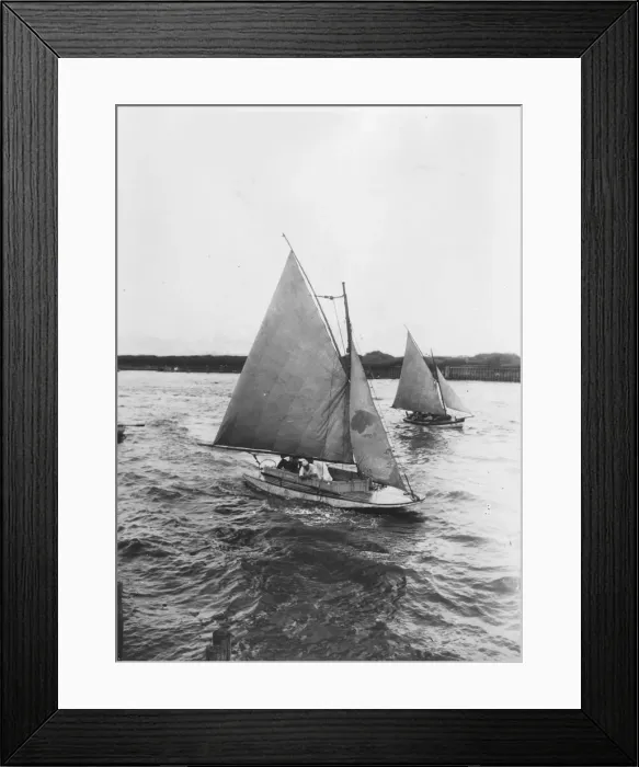 Framed Print : Shibaura Yachts Framed Print : Shibaura Yachts