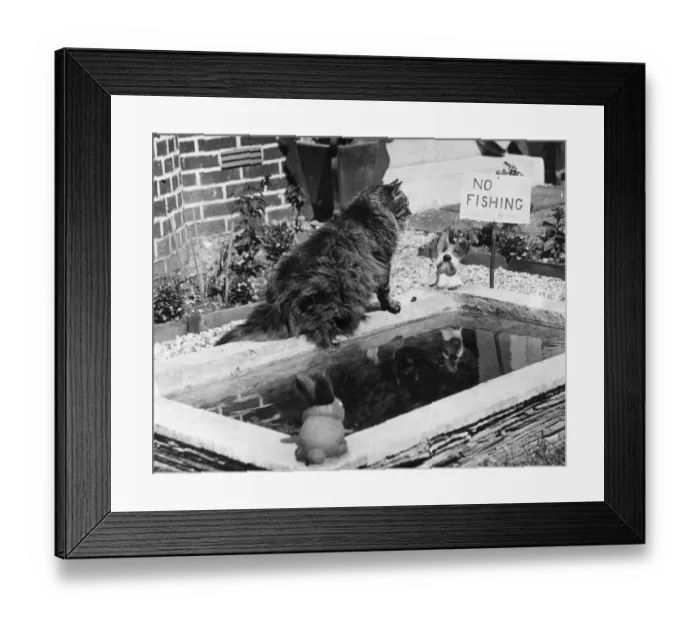 Framed Print : No Fishing Framed Print : No Fishing