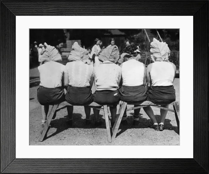 Framed Print : This Leaves Us Cool Framed Print : This Leaves Us Cool