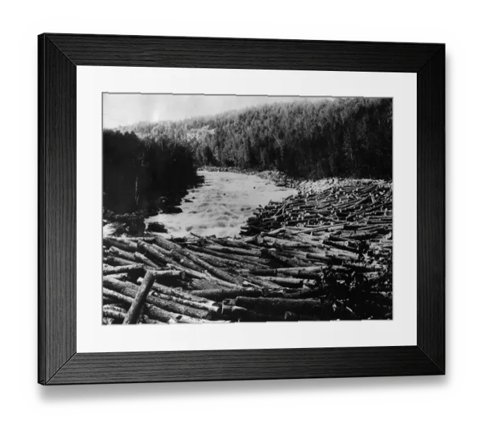 Framed Print : Log Jam In River Framed Print : Log Jam In River