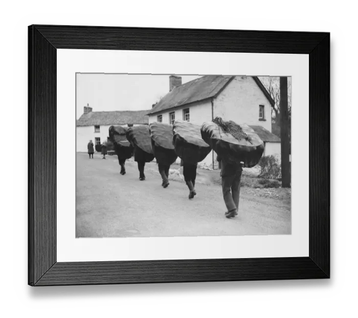 Framed Print : Off To Work We Go Framed Print : Off To Work We Go