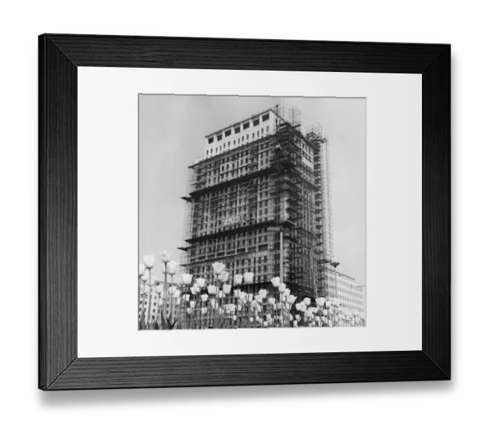 Framed Print : Tulip Tower Framed Print : Tulip Tower