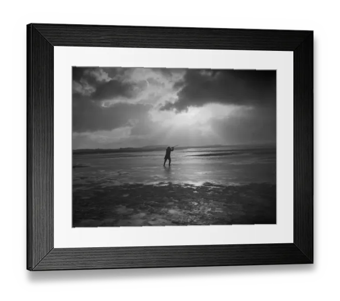 Framed Print : Wild-Goose Chase Framed Print : Wild-Goose Chase