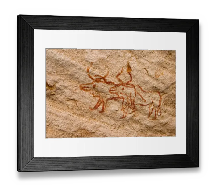 Framed Print : acacous, acacus, adventure, africa, animal, animals, archaeological, archaeology Framed Print : acacous, acacus, adventure, africa, animal, animals, archaeological, archaeology