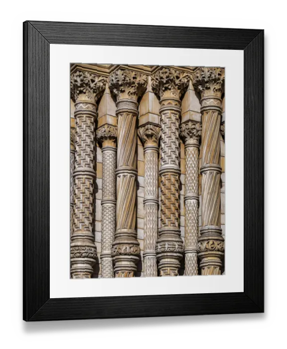 Framed Print : Doug Armand Photography Framed Print : Doug Armand Photography