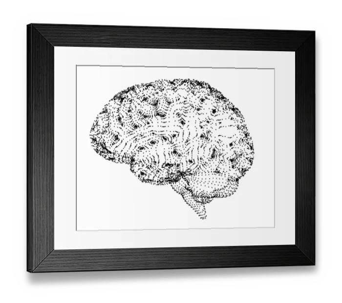 Framed Print : Human brain, conceptual illustration, illustration Framed Print : Human brain, conceptual illustration, illustration