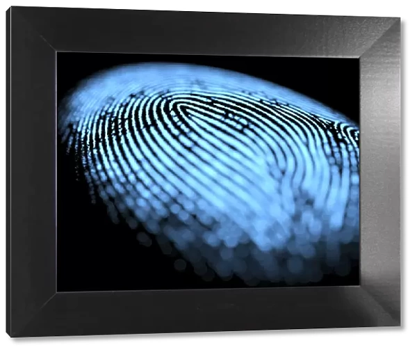 Fingerprint, illustration