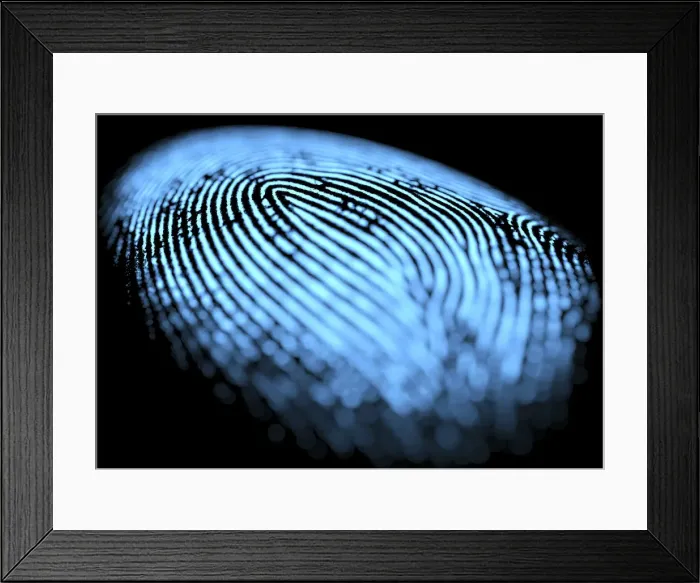 Framed Print : Fingerprint, illustration Framed Print : Fingerprint, illustration