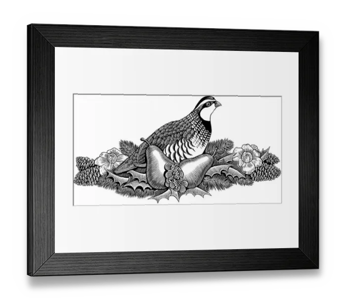 Framed Print : animal, bird, black and white, christmas, evergreen, flower, fruit, horizontal Framed Print : animal, bird, black and white, christmas, evergreen, flower, fruit, horizontal
