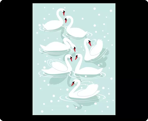 Seven Swans A-Swimming