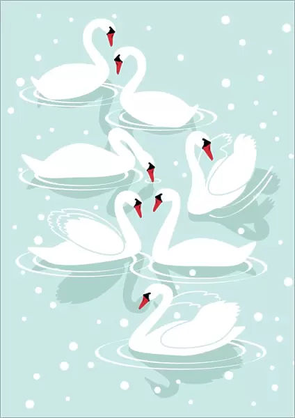 Seven Swans A-Swimming