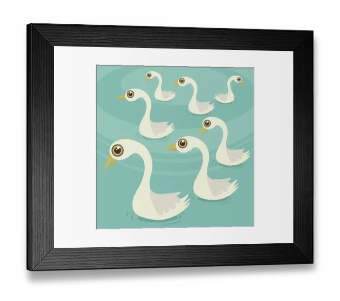 Framed Print : Seven Swans a Swimming Framed Print : Seven Swans a Swimming