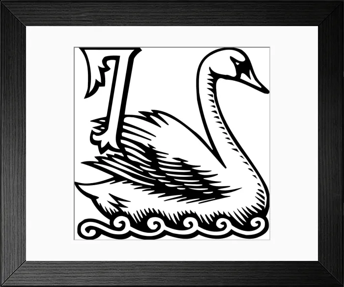 Framed Print : Twelve days of Christmas, 88322620 Framed Print : Twelve days of Christmas, 88322620
