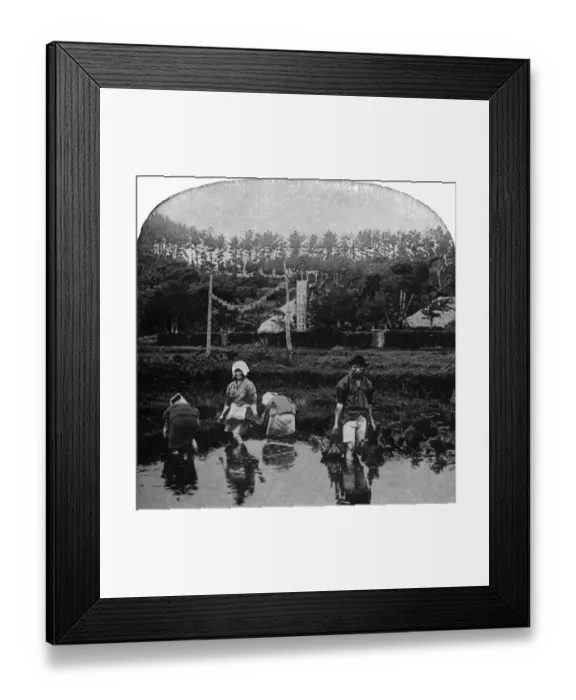 Framed Print : 30-35 years, 35-40 years, adults, agriculture, archival, asian, black & white, c