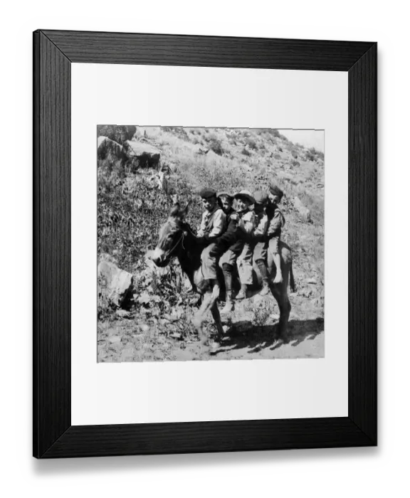 Framed Print : 5-6 years, 557, antique, archival, ass, beast of burden, black & white, black and white Framed Print : 5-6 years, 557, antique, archival, ass, beast of burden, black & white, black and white
