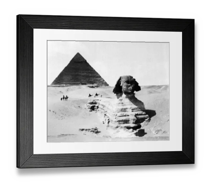 Framed Print : black & white, camels, circa, desert, egypt, africa, giza plateau, historical, history