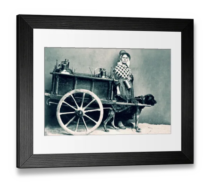 Framed Print : 521, adult, antique, black & white, canine, cart, caucasian, dog, eye contact, female Framed Print : 521, adult, antique, black & white, canine, cart, caucasian, dog, eye contact, female