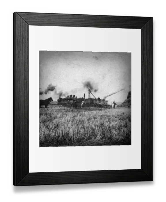 Framed Print : adults, archival, black & white, c, caucasian, copy space, crops, distance, equines