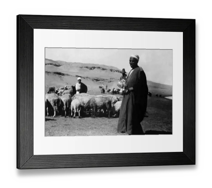 Framed Print : 30-35 years, adult, african, african american, african descent, agriculture, archival Framed Print : 30-35 years, adult, african, african american, african descent, agriculture, archival