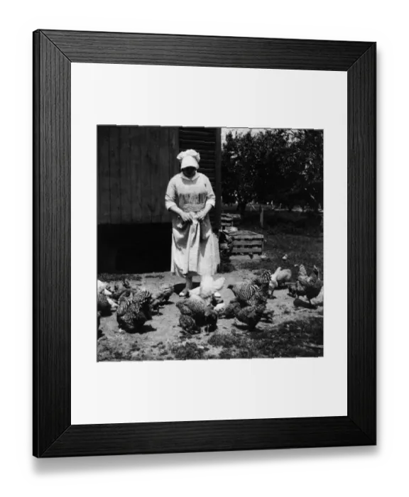 Framed Print : 522, adult, antique, barn, birds, black & white, building, caucasian, chickens, farm Framed Print : 522, adult, antique, barn, birds, black & white, building, caucasian, chickens, farm