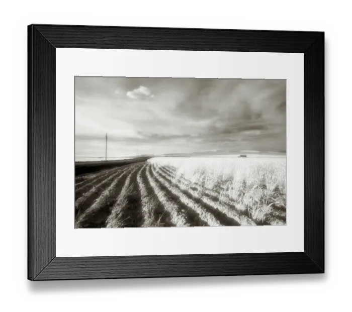 Framed Print : Eastern Washington, The Palouse, USA, black and white, grainy