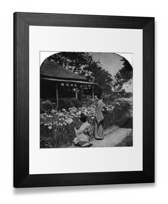 Framed Print : 30-35 years, 35-40 years, adults, archival, asian, black & white, c, females, flowers Framed Print : 30-35 years, 35-40 years, adults, archival, asian, black & white, c, females, flowers