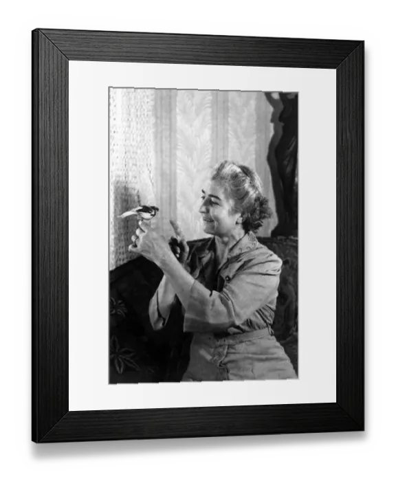 Framed Print : 522, adult, animal, antique, bird, black & white, caucasian, female, half-length Framed Print : 522, adult, animal, antique, bird, black & white, caucasian, female, half-length