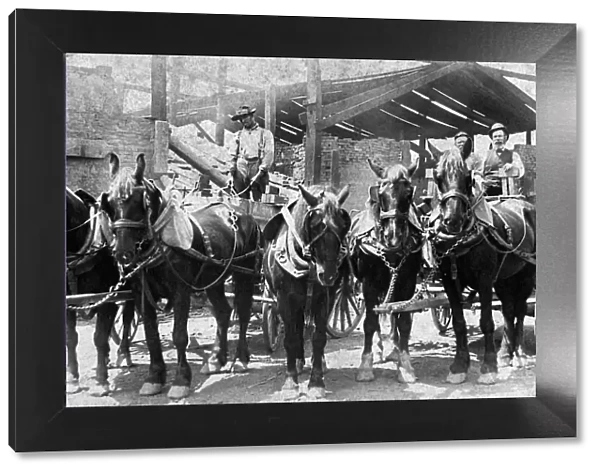 521, adults, antique, black & white, carriages, caucasian, equines, group portrait