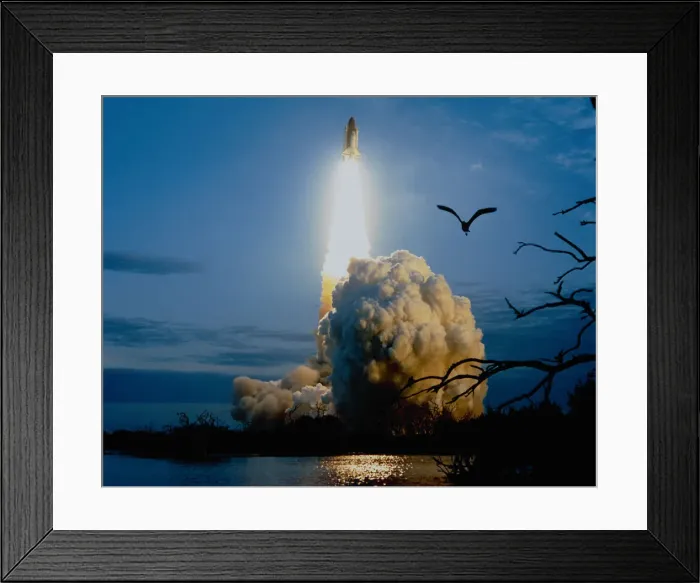 Framed Print : Aerospace Industry, Bird, Countdown, Dusk, Evening, Exploration, Final Frontier, Flying Framed Print : Aerospace Industry, Bird, Countdown, Dusk, Evening, Exploration, Final Frontier, Flying