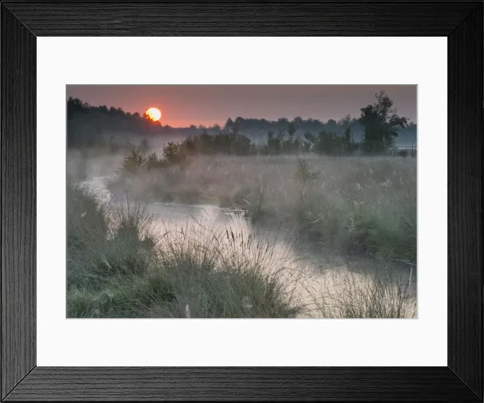 Framed Print : atmospheric, aurora, break of dawn, creek, foggy, idyll, niedersachsen, pristine Framed Print : atmospheric, aurora, break of dawn, creek, foggy, idyll, niedersachsen, pristine