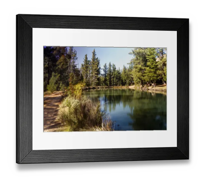 Framed Print : Protea farm. Montagu, Western Cape Province, South Africa Framed Print : Protea farm. Montagu, Western Cape Province, South Africa