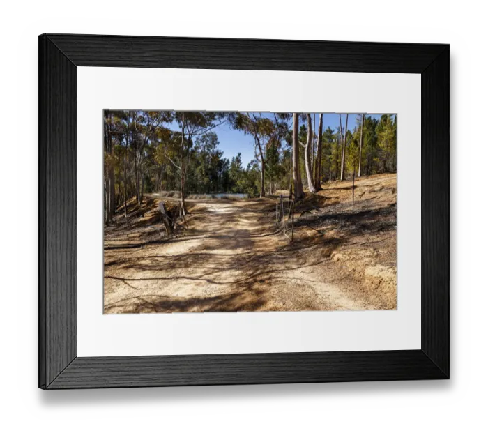 Framed Print : Protea farm. Montagu, Western Cape Province, South Africa Framed Print : Protea farm. Montagu, Western Cape Province, South Africa
