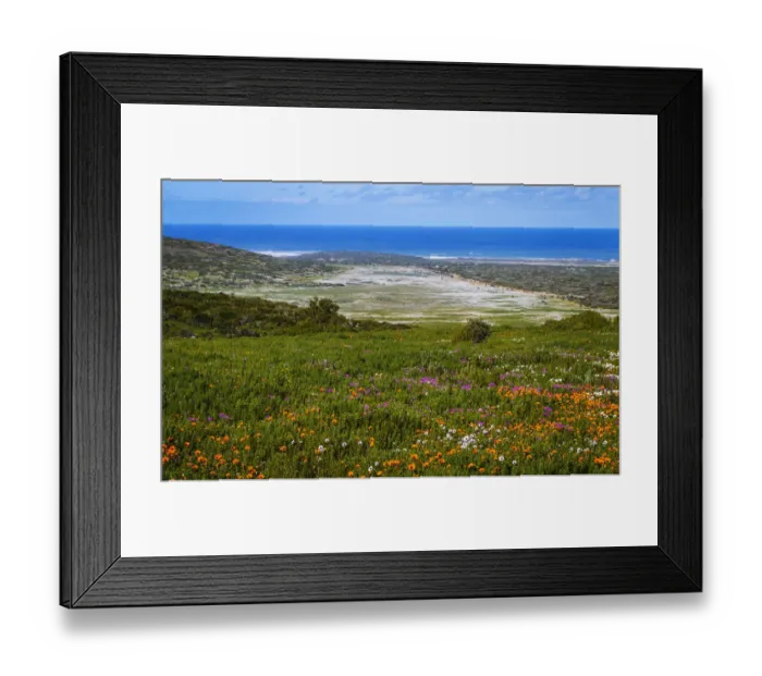 Framed Print : West Coast National Park. Western Cape Province. South Africa Framed Print : West Coast National Park. Western Cape Province. South Africa