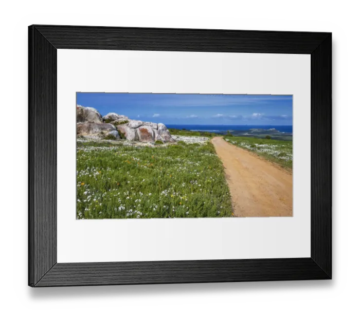 Framed Print : West Coast National Park. Western Cape Province. South Africa Framed Print : West Coast National Park. Western Cape Province. South Africa