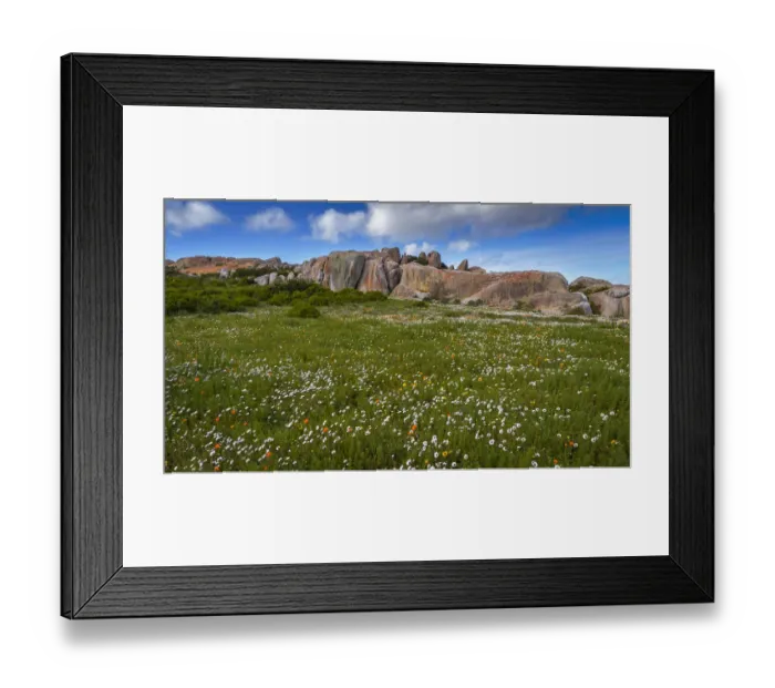 Framed Print : West Coast National Park. Western Cape Province. South Africa Framed Print : West Coast National Park. Western Cape Province. South Africa