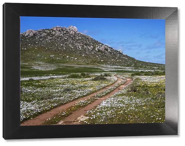 West Coast National Park. Western Cape Province. South Africa