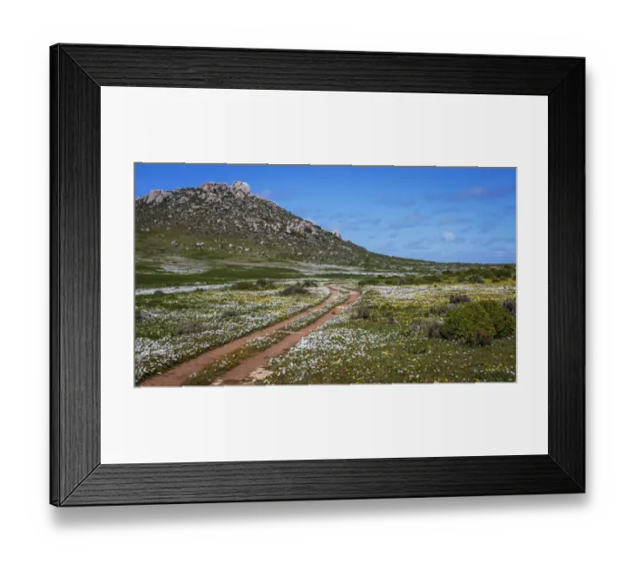 Framed Print : West Coast National Park. Western Cape Province. South Africa Framed Print : West Coast National Park. Western Cape Province. South Africa