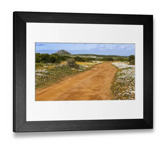 Framed Print : West Coast National Park. Western Cape Province. South Africa Framed Print : West Coast National Park. Western Cape Province. South Africa