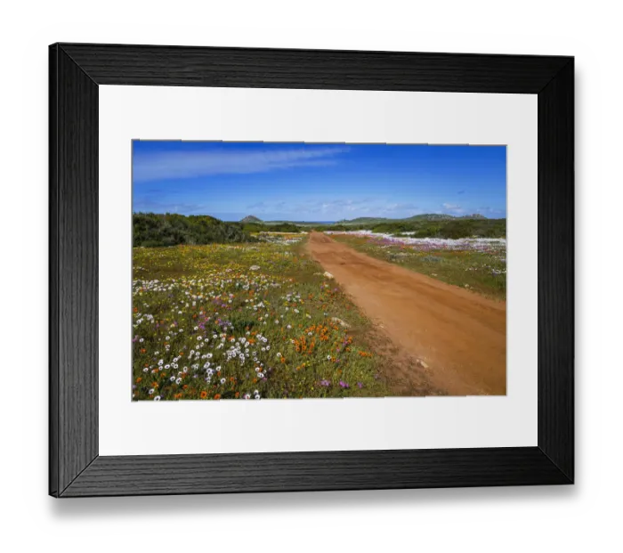Framed Print : West Coast National Park. Western Cape Province. South Africa Framed Print : West Coast National Park. Western Cape Province. South Africa
