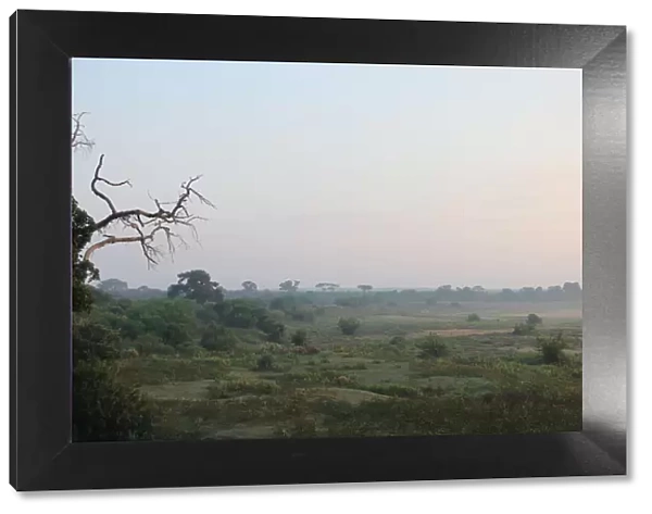 Early morning mist rising over the floodplain of the Letaba River in the Kruger National