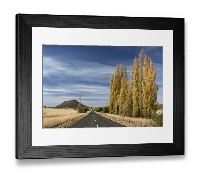 Framed Print : Road with autumn trees near Bethulie, Free State Province Framed Print : Road with autumn trees near Bethulie, Free State Province