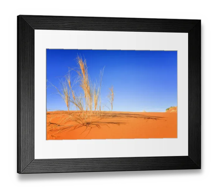 Framed Print : Dune grass on the crest of a red dune of Sossousvlei at daybreak providing long shadows Framed Print : Dune grass on the crest of a red dune of Sossousvlei at daybreak providing long shadows