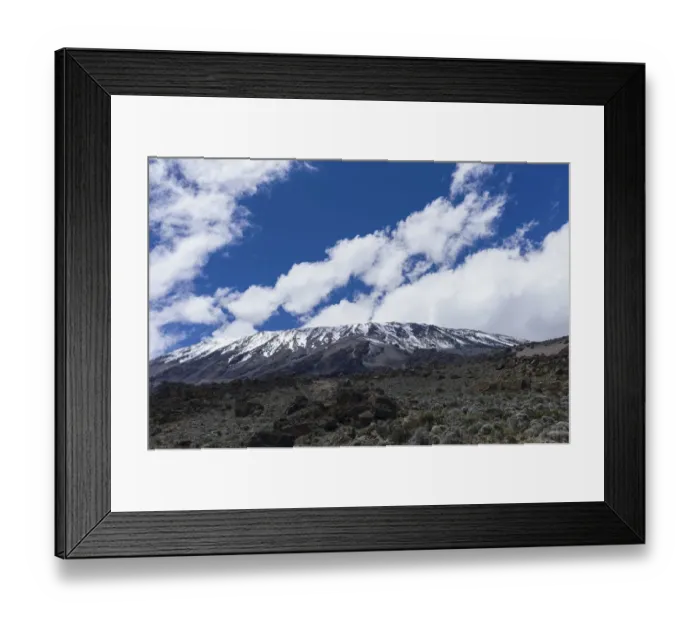 Framed Print : View of Kibo peak from Pofu Buffalo Camp, Northern Circuit, Mount Kilimanjaro, Kilimanjaro Region, Tanzania Framed Print : View of Kibo peak from Pofu Buffalo Camp, Northern Circuit, Mount Kilimanjaro, Kilimanjaro Region, Tanzania