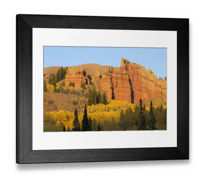 Framed Print : Autumn landscape with aspens and Red Cliffs on sunny day, Wyoming Range, Sublette County, Wyoming, USA Framed Print : Autumn landscape with aspens and Red Cliffs on sunny day, Wyoming Range, Sublette County, Wyoming, USA